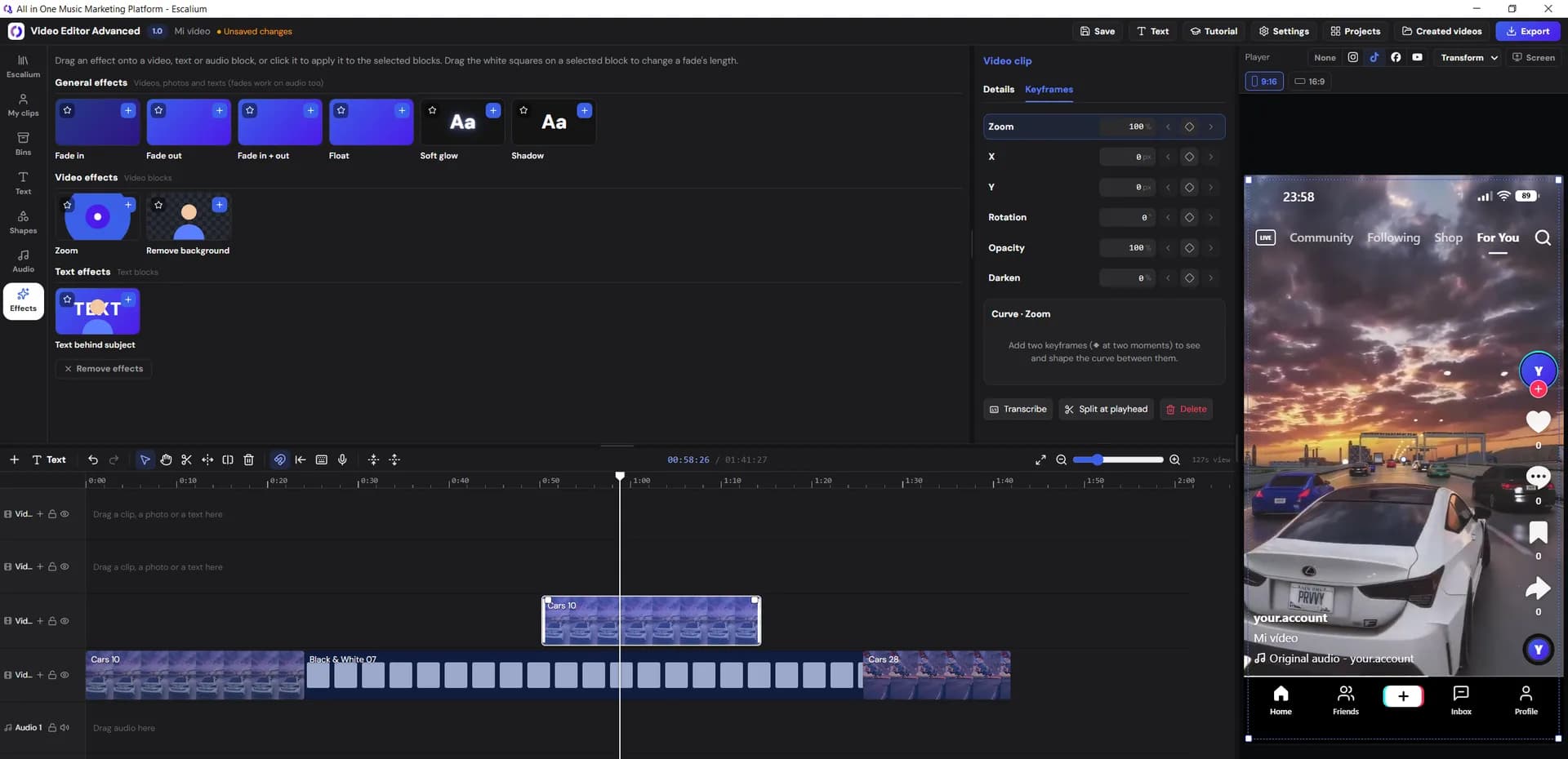 Advanced Video Editor